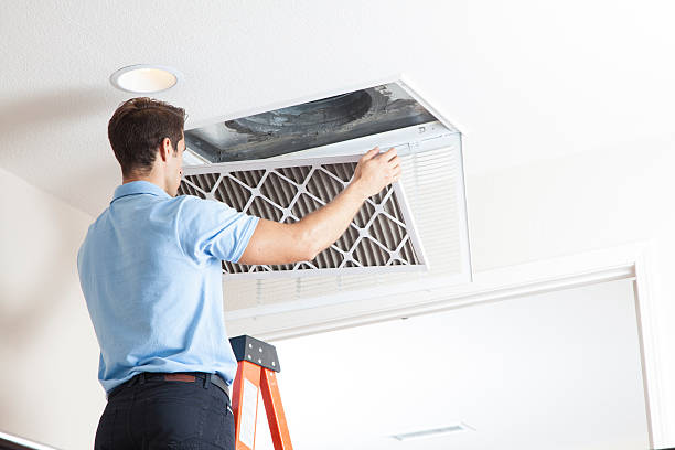 Best Air quality test  in Mesquite, TX